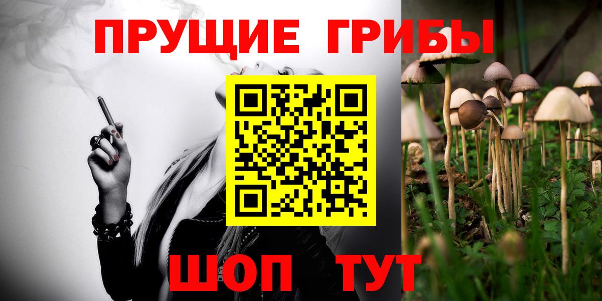 Верхняя Салда  Псилоцибиновые грибы Cubensis  Вход с VPN 